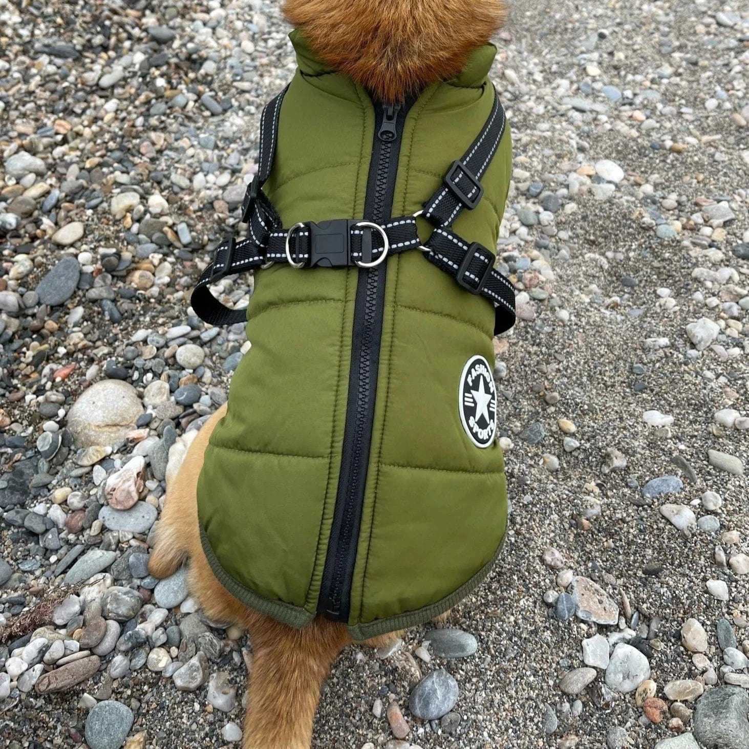 Puppy Puffer® - Insulated warm Dog Jacket