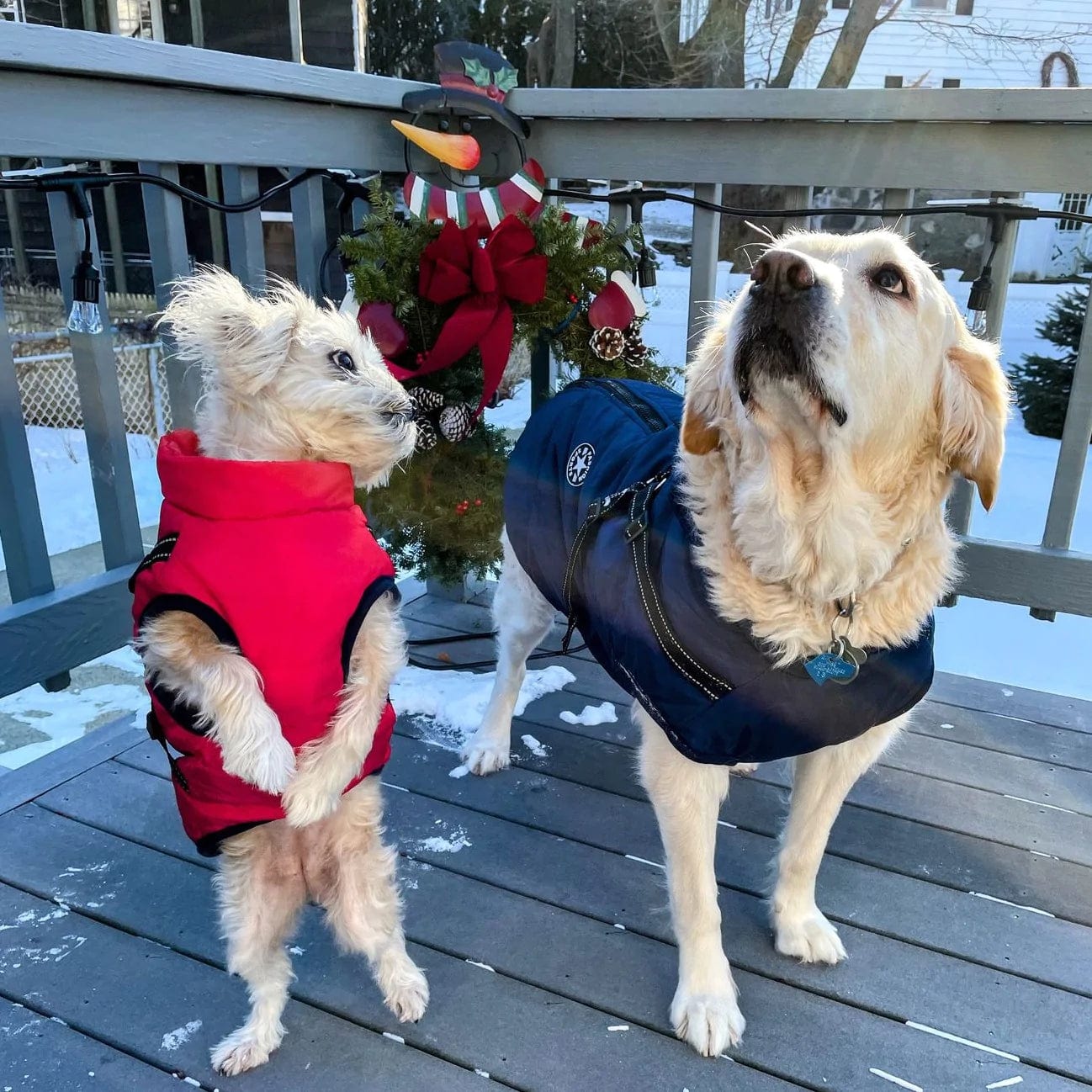 Puppy Puffer® - Insulated warm Dog Jacket