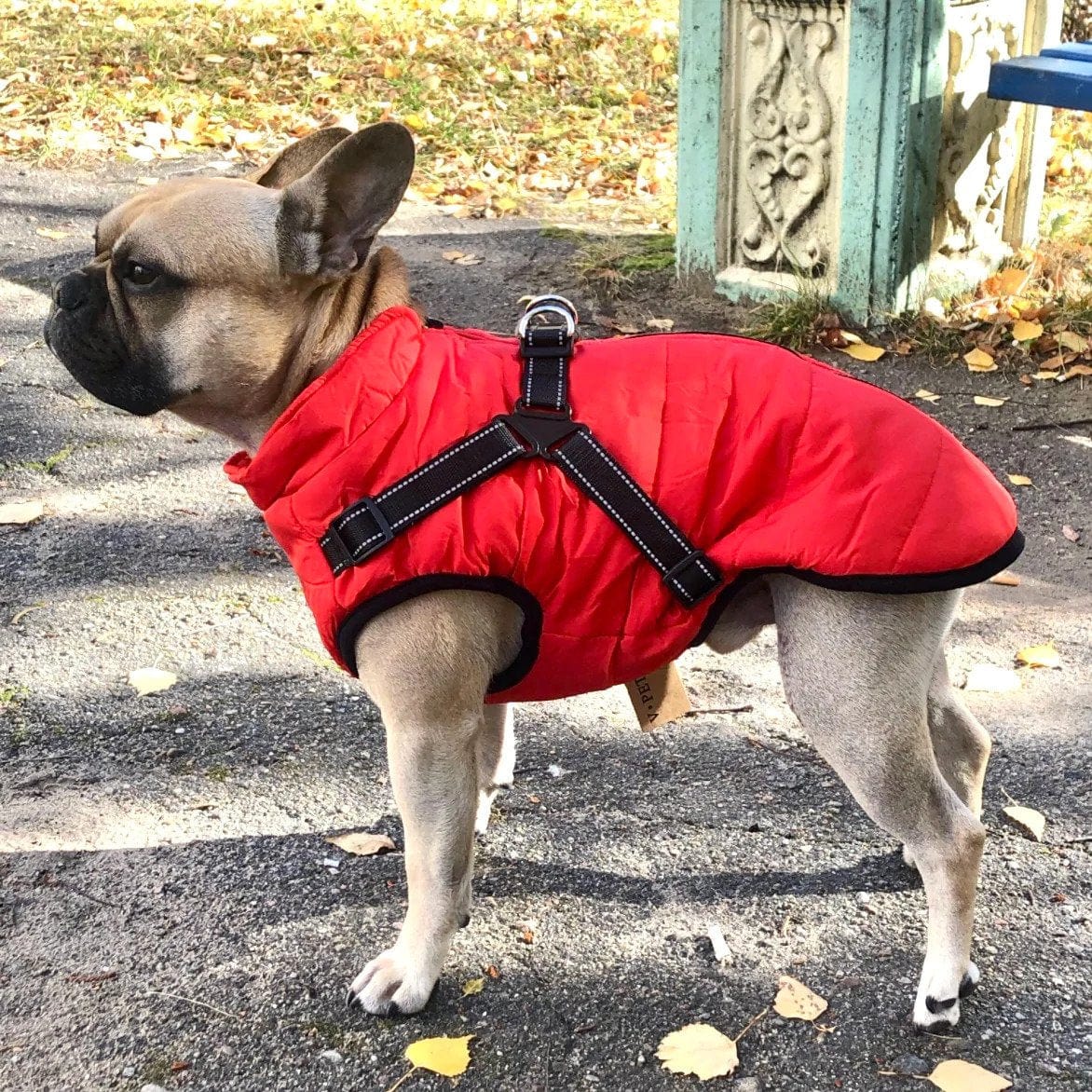 Puppy Puffer® - Insulated warm Dog Jacket